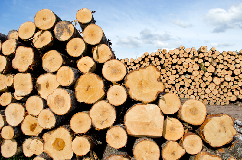EPA Requirements When Importing Composite Wood Products Livingston
